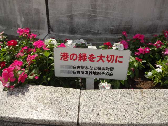 名古屋港水族館前花壇の植栽R4.9.12_d0338682_14575461.jpg