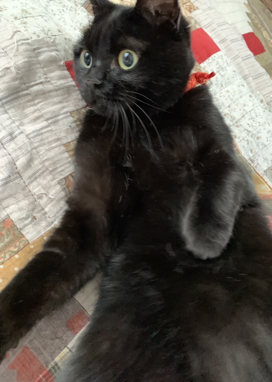 やりすぎました…_e0358096_18134348.jpeg