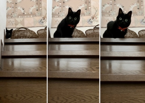 やりすぎました…_e0358096_18165731.jpeg