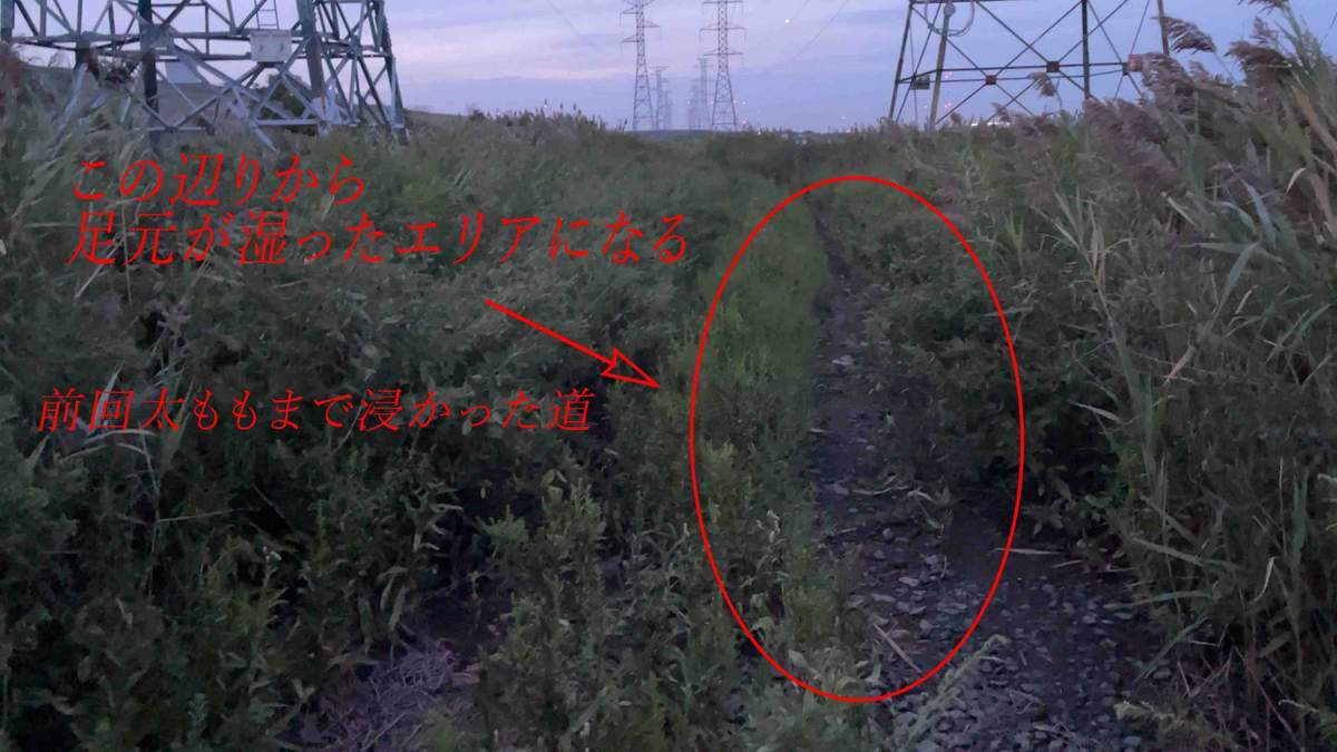 中秋の名月 2022 ー記録ー_a0274805_03200702.jpg
