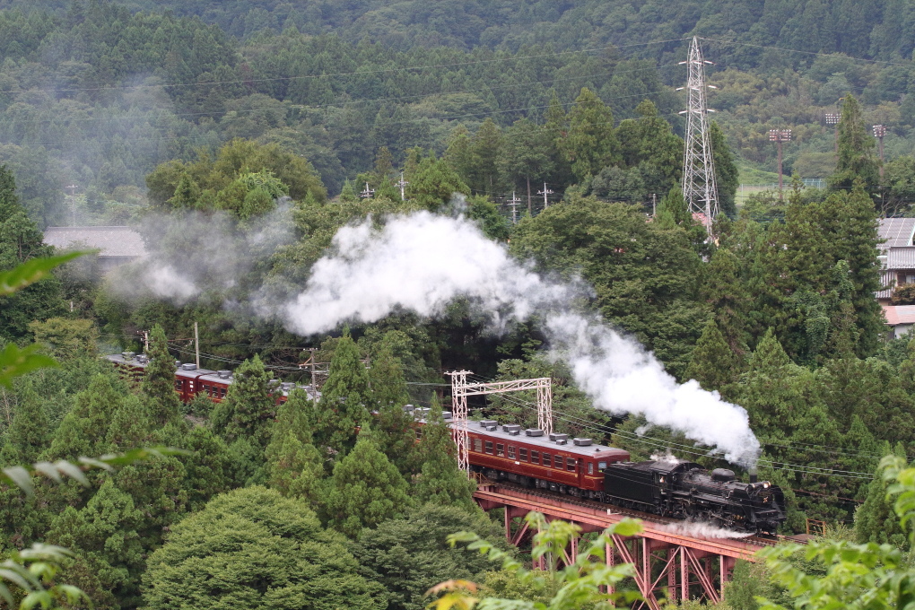 晩夏から初秋へ　- 2022年・秩父鉄道 -_b0190710_06590568.jpg