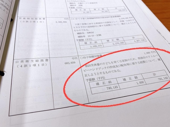 リトルベビーハンドブック予算化!_b0199244_21473060.jpg