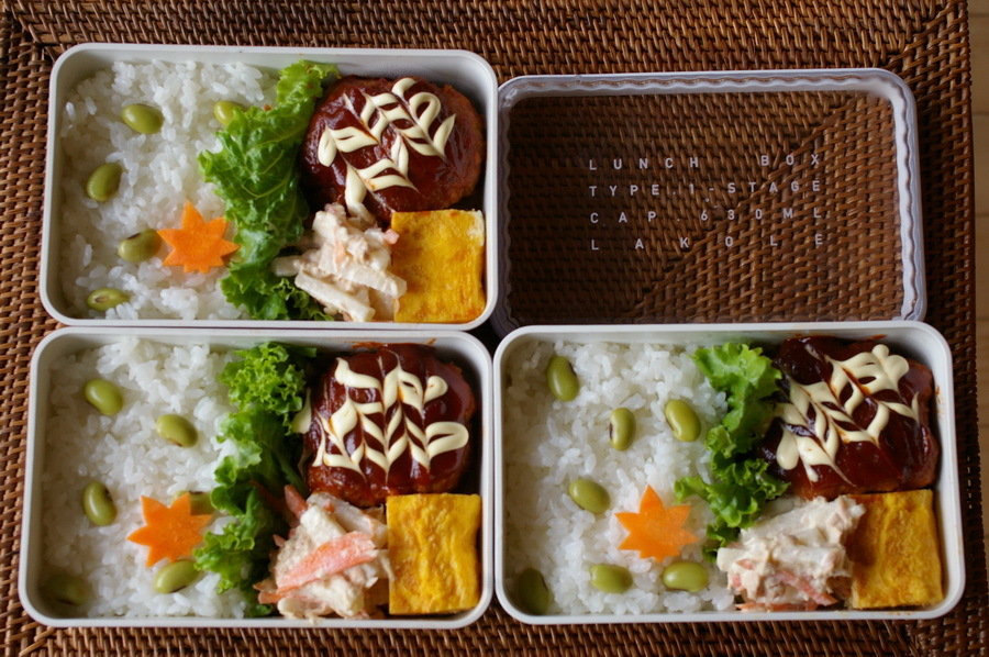 今日のお弁当（煮込みハンバーグ）_d0327373_10015856.jpg