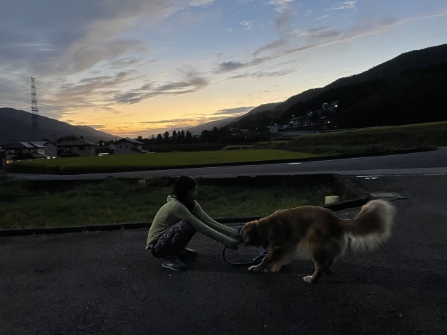 すっかり秋に思える。_a0394574_20233958.jpeg