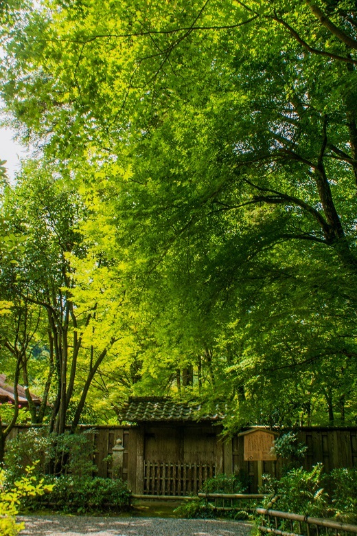 高山寺②～石水院_e0363038_13083960.jpg