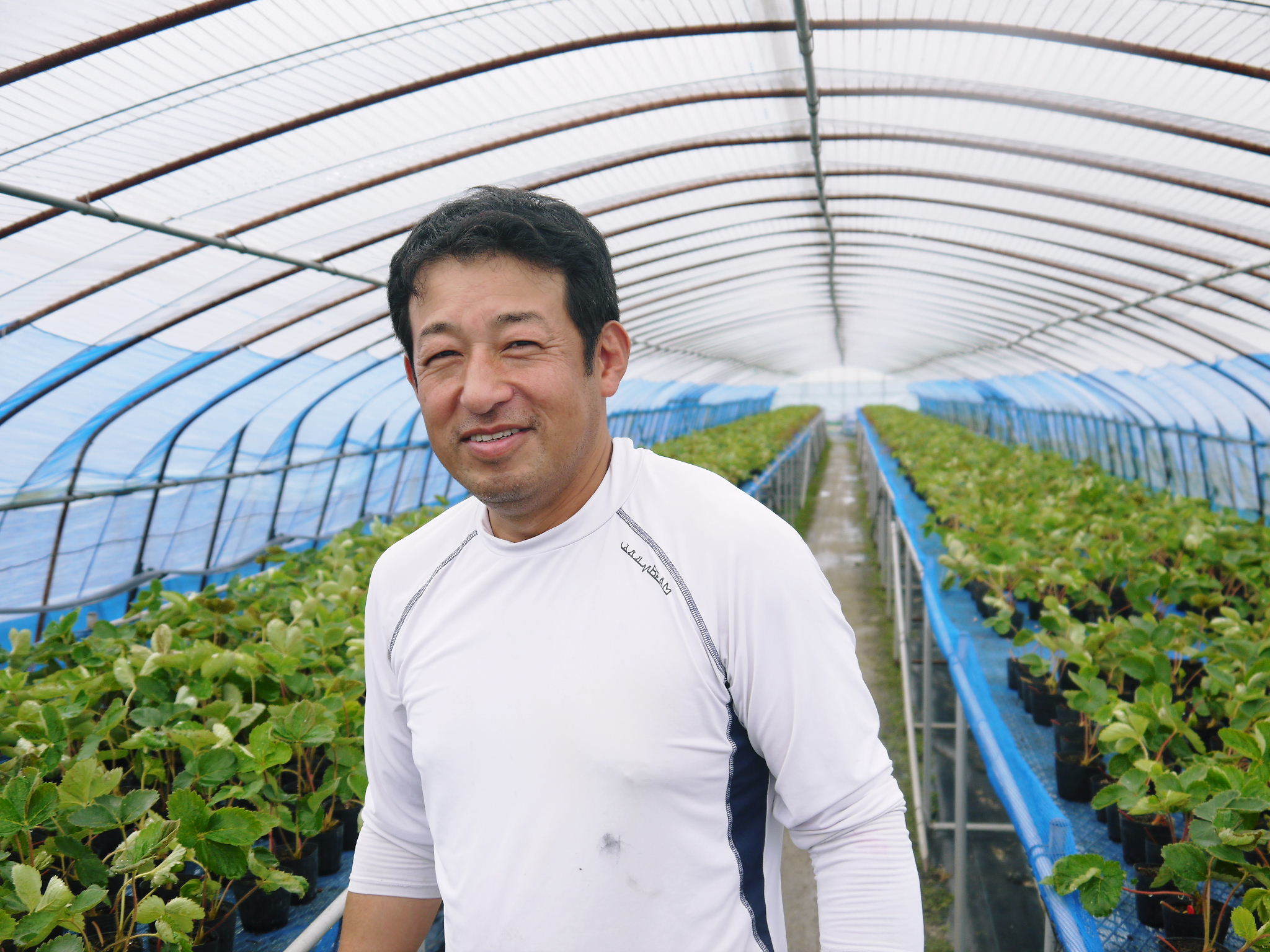 熊本県産高級イチゴ『さがほのか』の令和4年12月からの新規販売に向け生産地と生産者を現地取材スタート!_a0254656_18455961.jpg