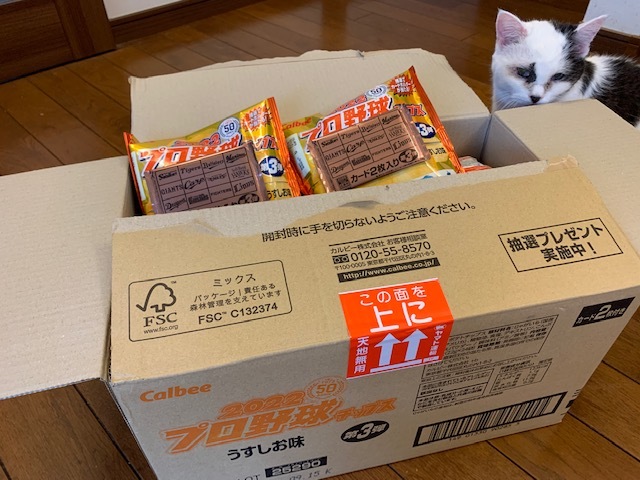 カルビープロ野球チップス第３弾_b0000829_10380000.jpg