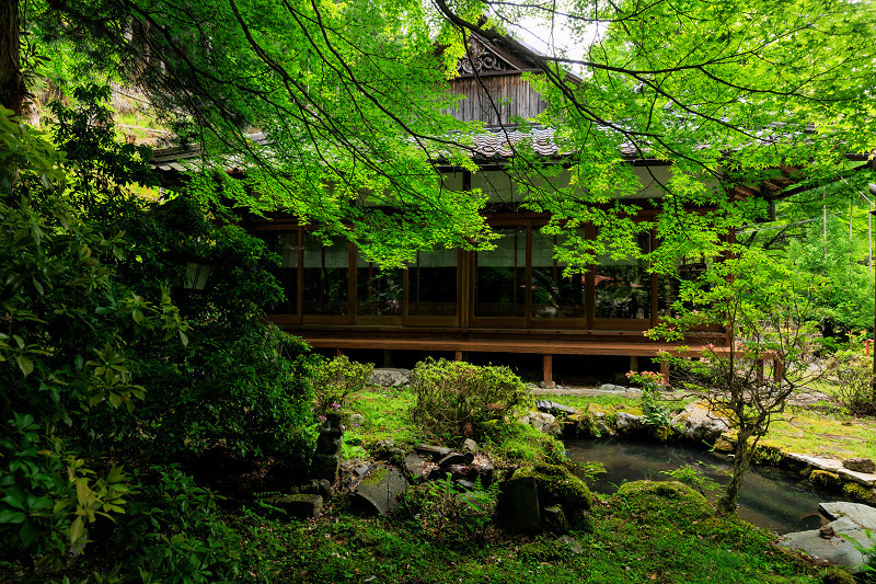 九輪草咲くお寺（杉坂地蔵院）_f0155048_15464492.jpg
