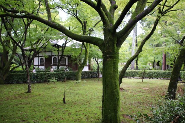 真如堂　秋景色がスタート_e0048413_17533024.jpg