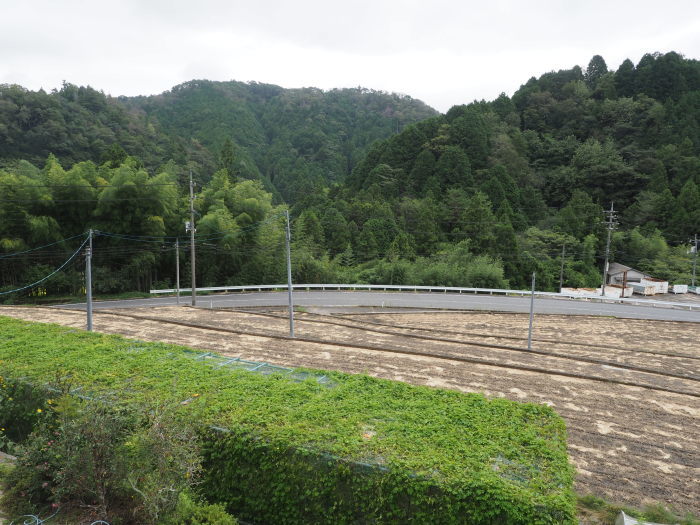 曇りの一日_c0116915_00034908.jpg