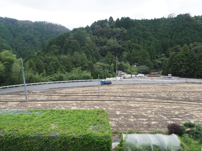 曇りの一日_c0116915_00040099.jpg