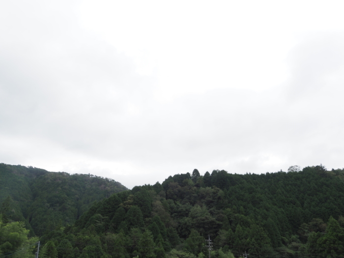 曇りの一日_c0116915_00050411.jpg