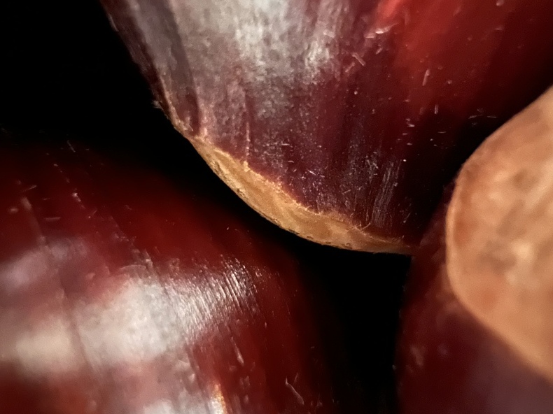 秋の味覚_f0380954_17074754.jpeg
