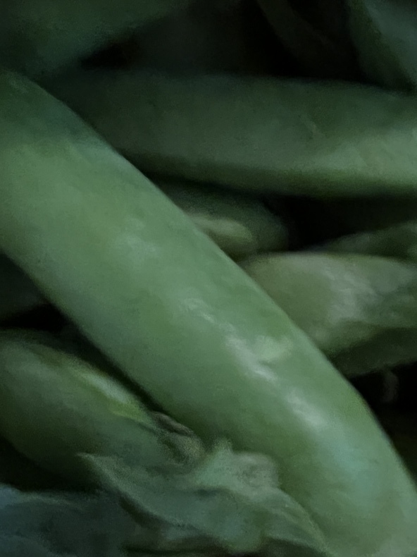 秋の味覚_f0380954_17080073.jpeg