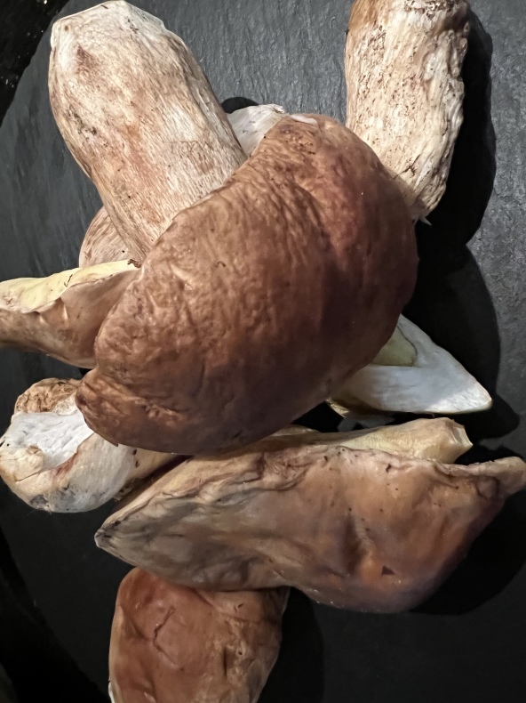 秋の味覚_f0380954_17124177.jpeg