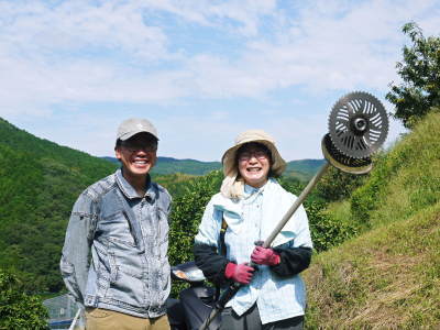 ザ・みかん 花から着果、果実の成長のダイジェストと夏の草刈りと摘果前の果実の様子(2022)_a0254656_20031419.jpg