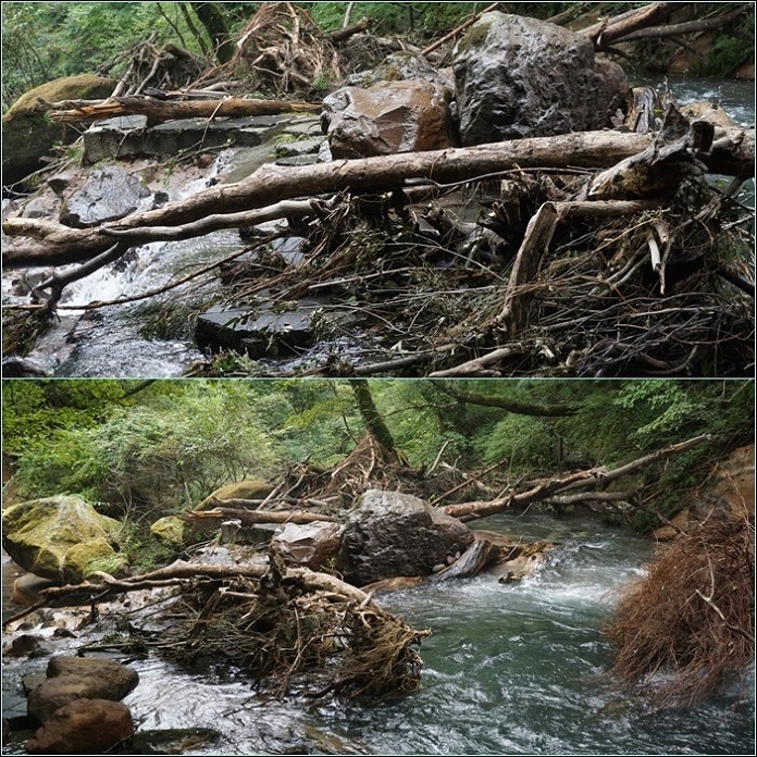 「秋分」の九重山へご来光登山。_f0016066_15175352.jpg