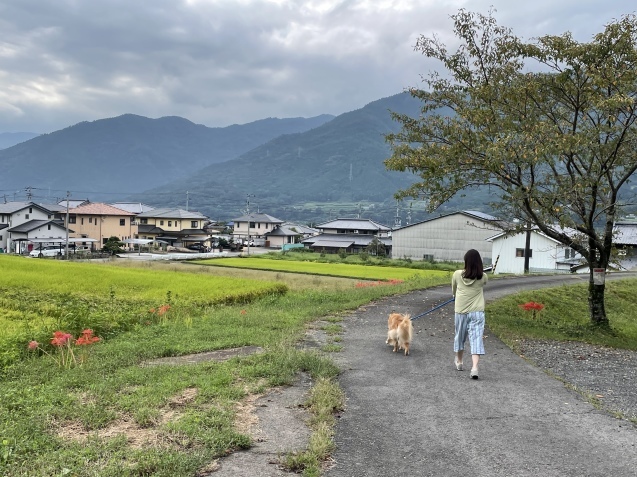 明日は出勤と、秋の日と。_a0394574_19093480.jpeg