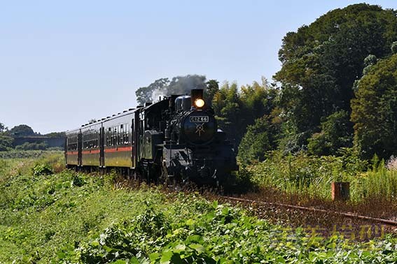 初秋のSLもおか号_d0110009_18593966.jpg