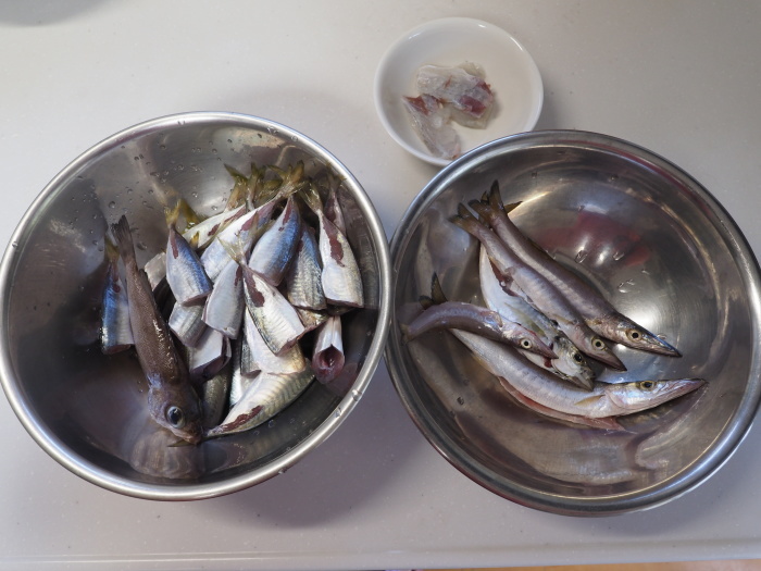 夫の釣果とその後(天ぷらと南蛮漬け)_c0116915_01185811.jpg