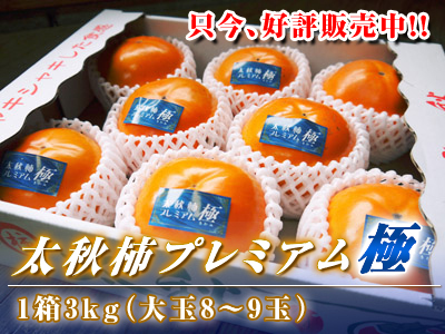 無農薬栽培の『種なしかぼす』大好評販売中!令和4年も青い果実は10月中!色づいた果実は11月中旬から!_a0254656_18455174.jpg