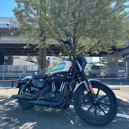 XL1200NS【アイアン1200】納車!_b0317459_13291734.jpg