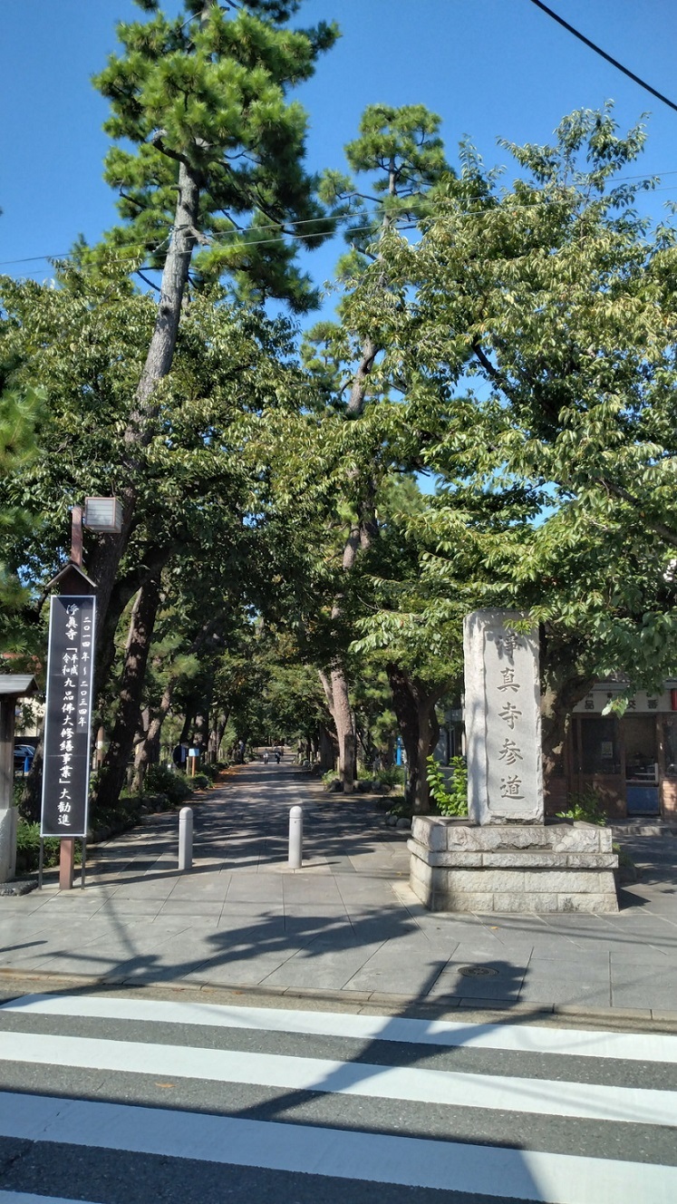 九品仏浄眞寺にてアフロ仏（五劫思惟阿弥陀）を視る_c0002171_20210926.jpg