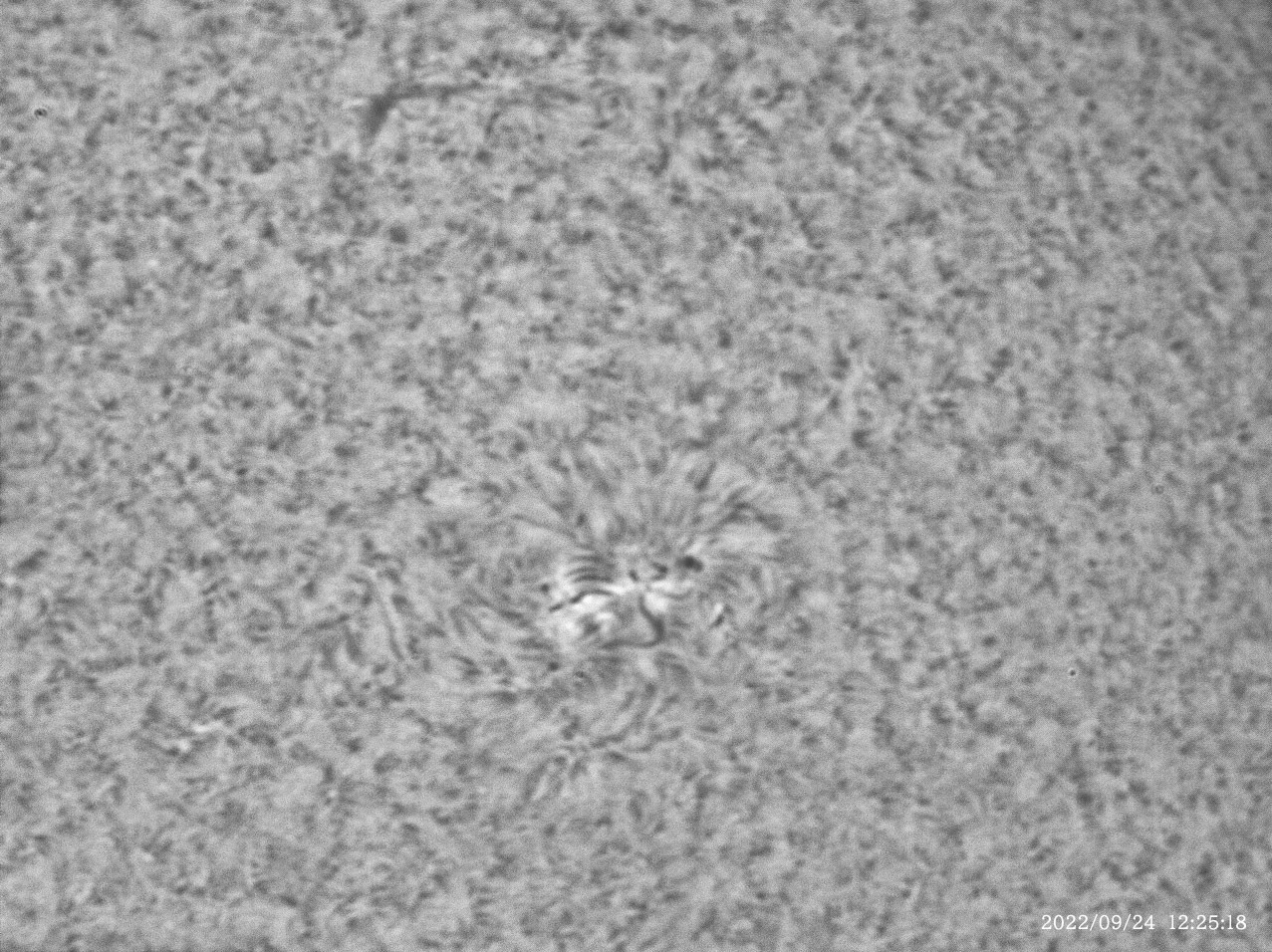 9月24日の太陽_e0174091_16063854.jpg