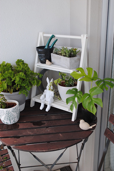 ナチュラルキッチンのガーデンラック それと新しい植物と クラシノート