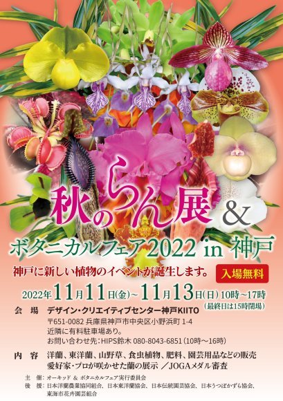 韓国春蘭 仮 大魔神 蘭万園日記