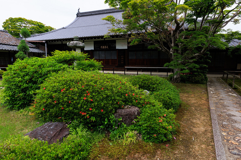 ヒカゲツツジ咲く頃（源光庵）_f0155048_21243684.jpg