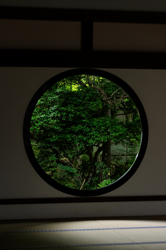 ヒカゲツツジ咲く頃（源光庵）_f0155048_21263603.jpg