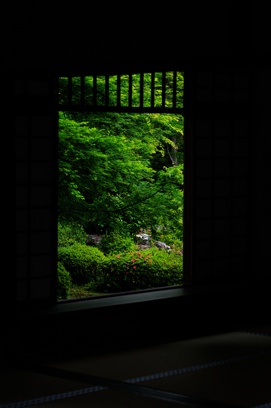 ヒカゲツツジ咲く頃（源光庵）_f0155048_21273538.jpg