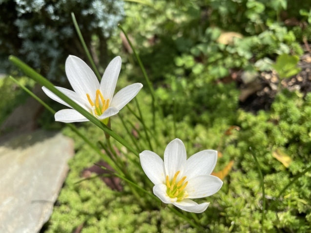 父と。_a0394574_18071478.jpeg