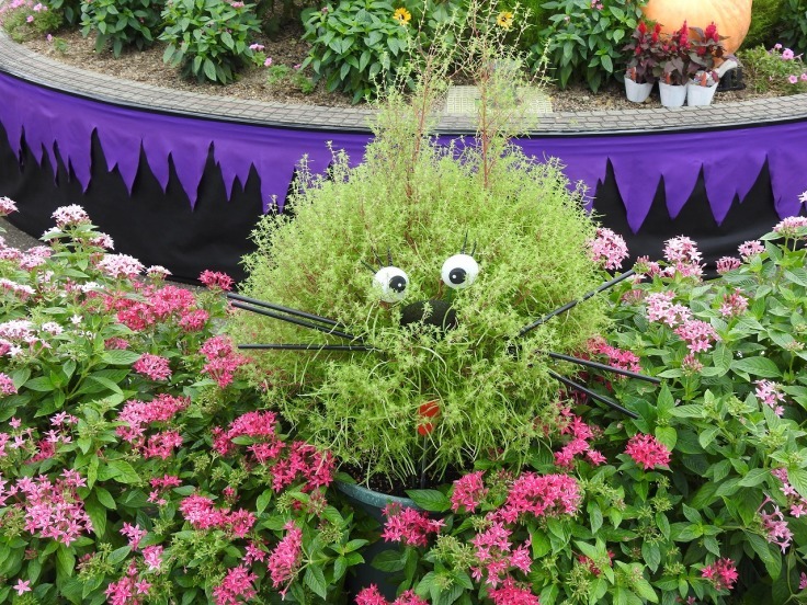 『木曽川水園とオアシスパークの風景と魚達』 自然風の自然風だより