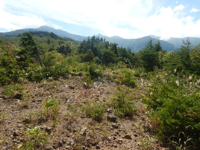 吾妻連峰・家形山（高倉新道→兵子新道） ～ ２０２２年９月２５日_f0170180_15353270.jpg