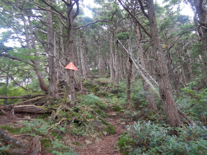 吾妻連峰・家形山（高倉新道→兵子新道） ～ ２０２２年９月２５日_f0170180_15394166.jpg