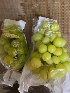 頂き物で満ち足りる_e0233190_19575905.jpeg