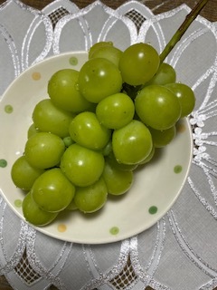 頂き物で満ち足りる_e0233190_19580887.jpeg