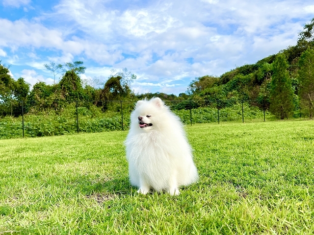 いい時代になりました_d0360206_19052649.jpg