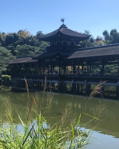 久々の平安神宮でのお献茶祭_a0197730_00054535.jpg