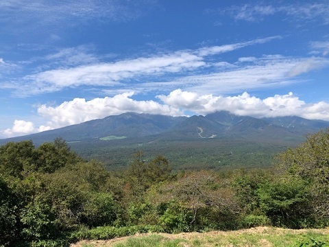 ほぼ飯盛日和2022_f0019247_20332762.jpg