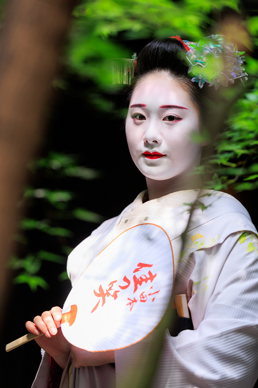 勝山(祇園甲部 佳つ笑さん) : 花景色-K.W.C. PhotoBlog