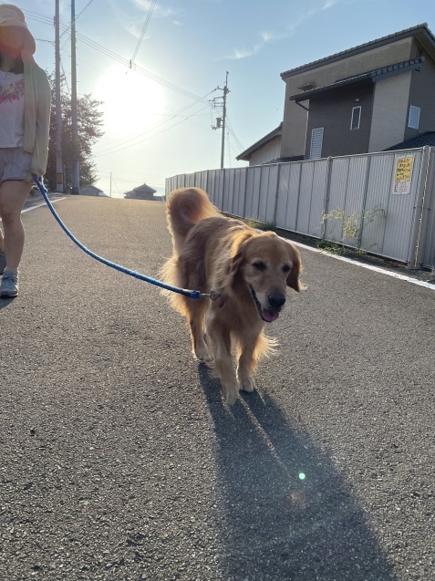 こんな日もある。_a0394574_20554980.jpeg