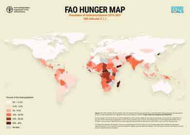 日本は？『世界のハンガーマップ・国際連合食糧農業機関』／ 画像_b0003330_08410742.jpg