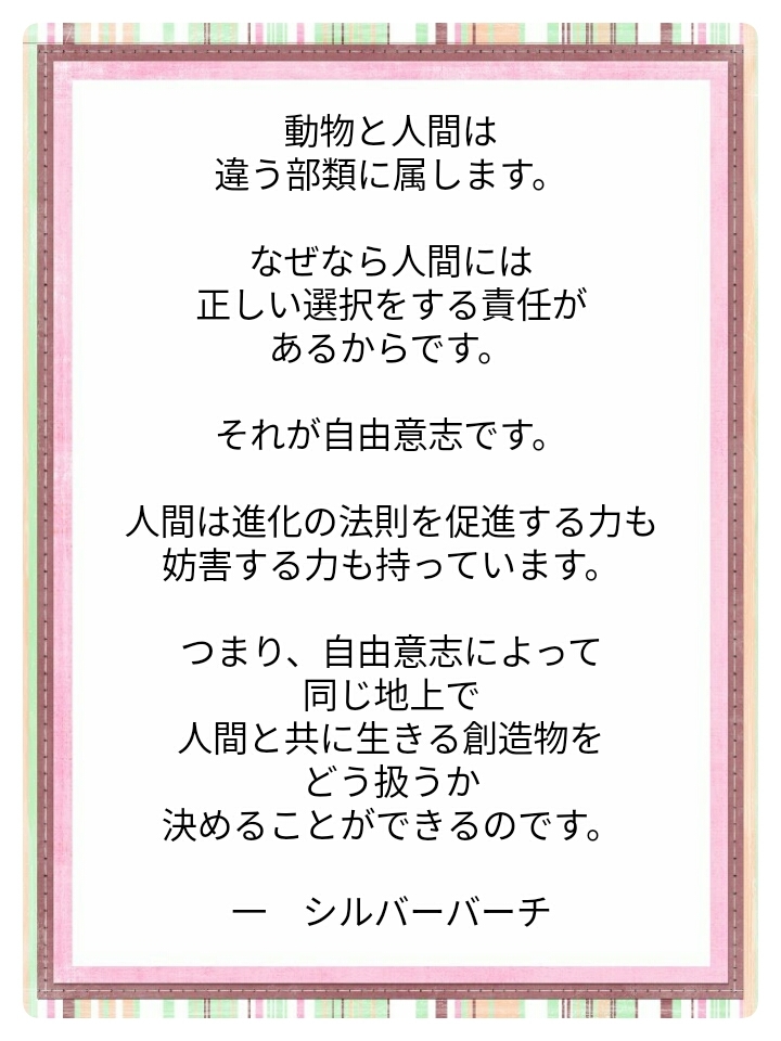 正しい選択をする責任_e0338708_09222850.jpg