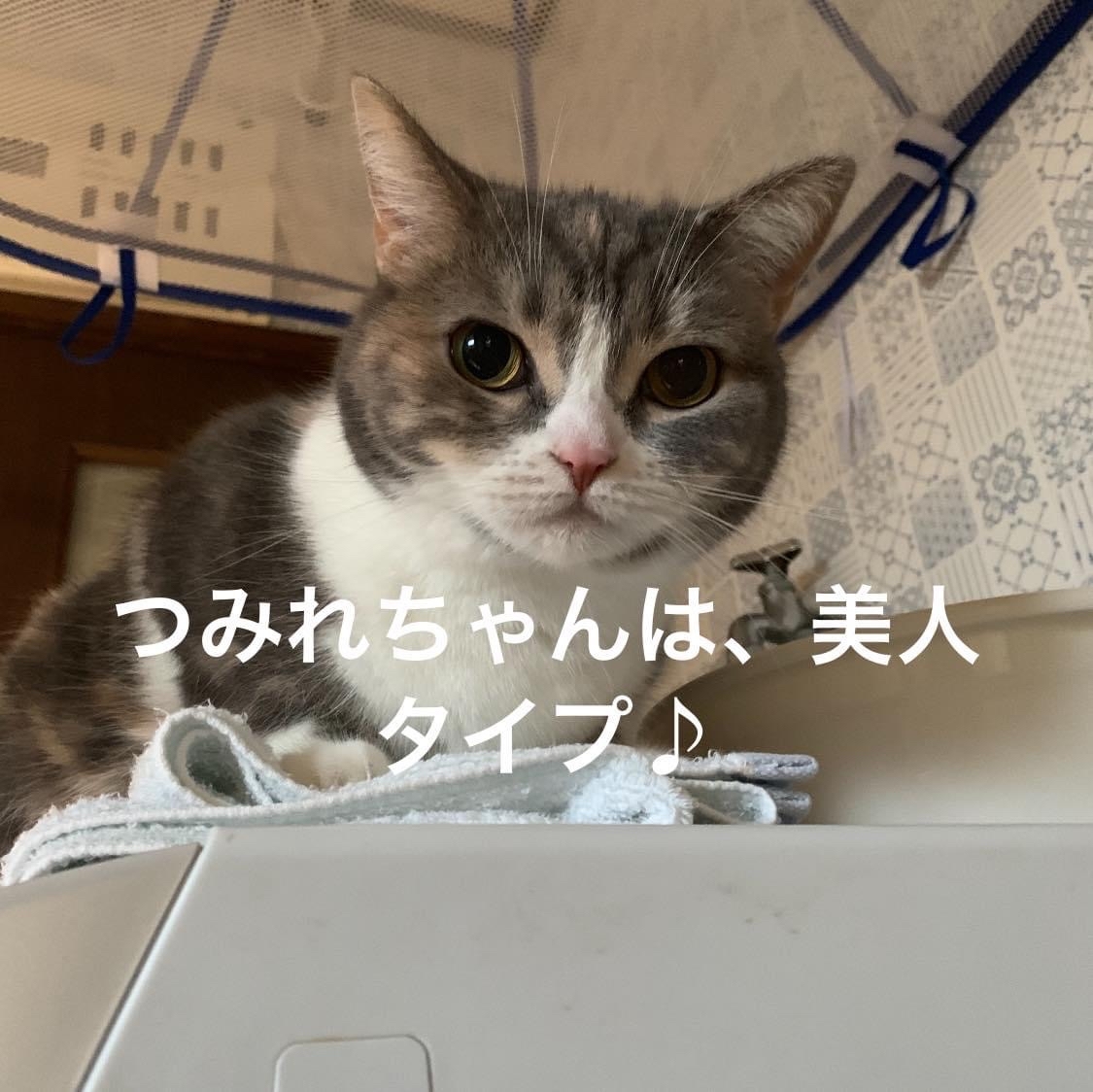 ワクチン接種3回目_b0340621_12262525.jpg