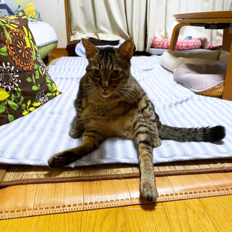 まっぱにチャレンジ。_d0355333_22405783.jpg