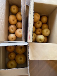 朝から忙しく_e0233190_20310115.jpeg