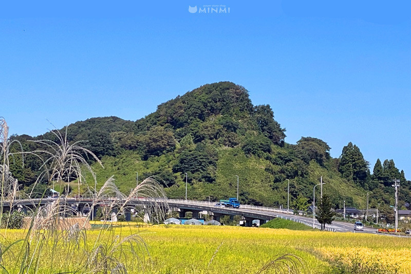 青空木曜日ヽ(^o^)丿_c0140599_12565919.jpg